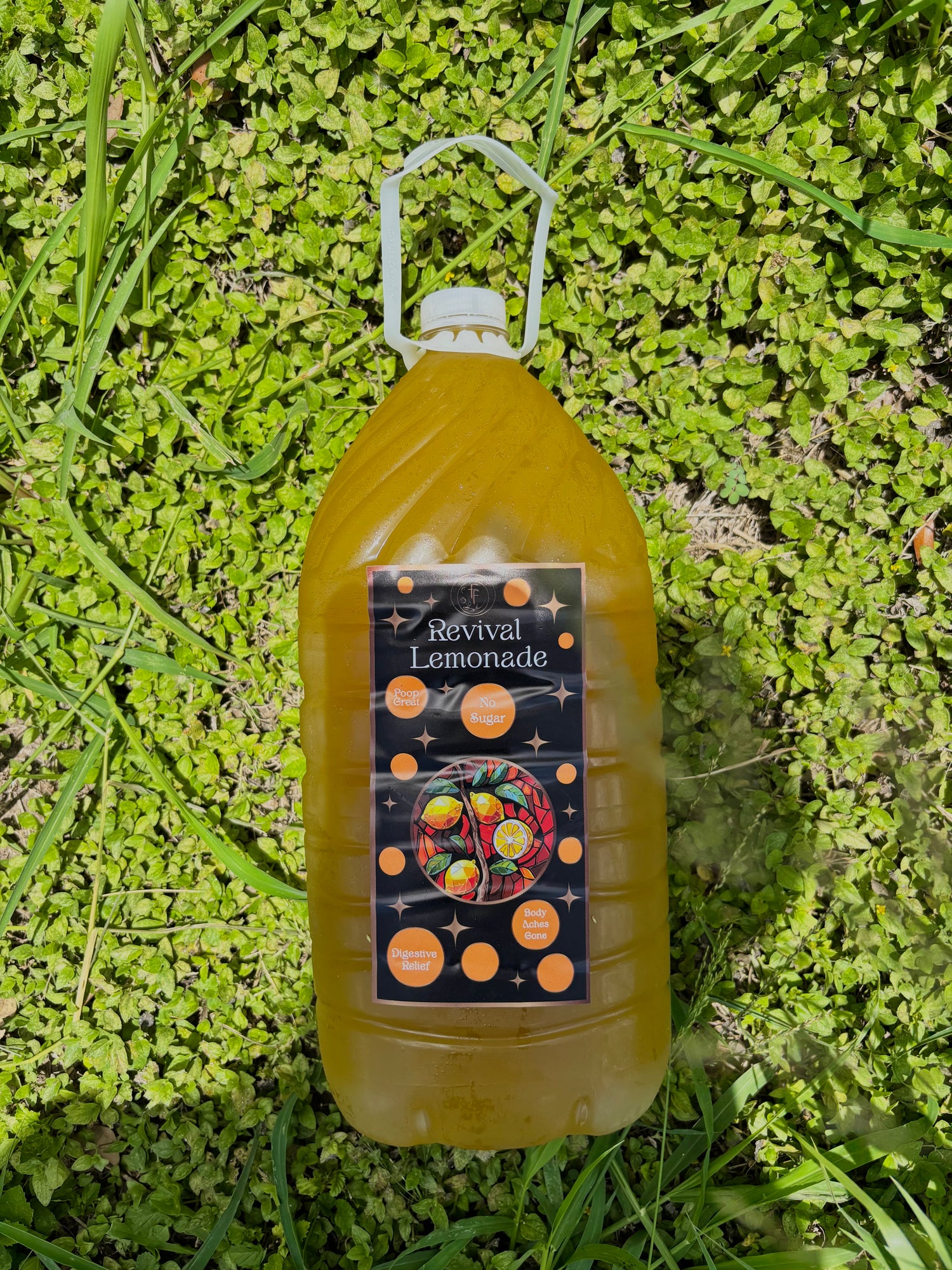 Revival Lemonade Gallon
