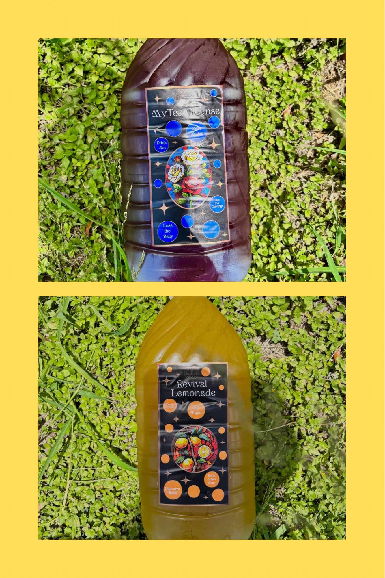 2 MyTea Gallons & 1 Revival Lemoande