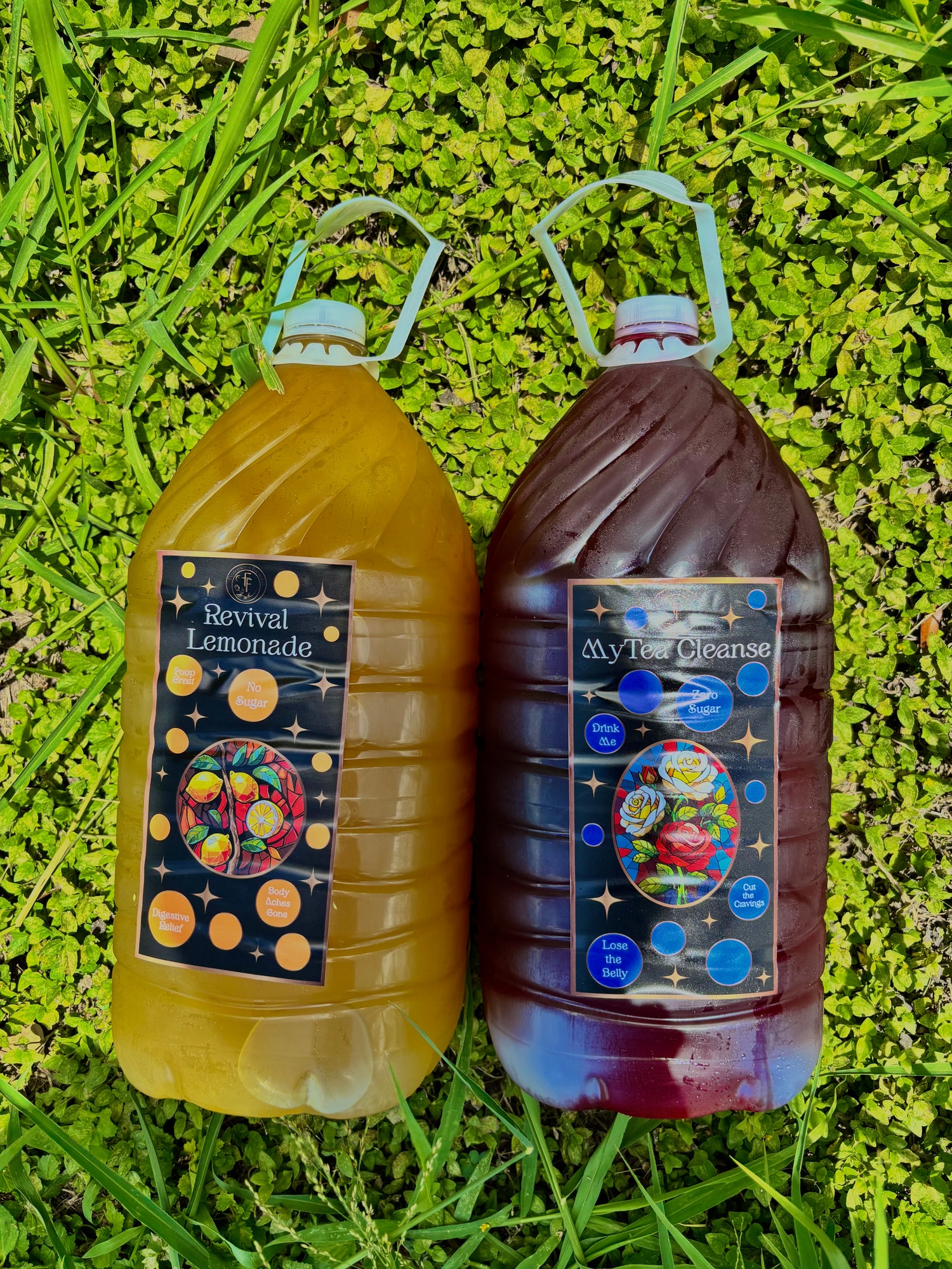 Detox Bundle
